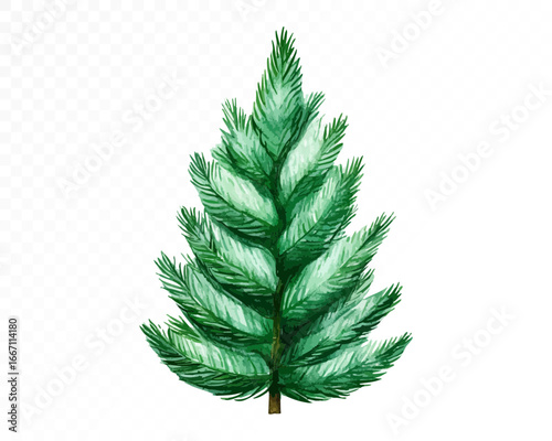 Watercolor illustration of a lush evergreen pine tree with layered green conifer branches, natural forest element, isolated on white. Vector illustration.	
