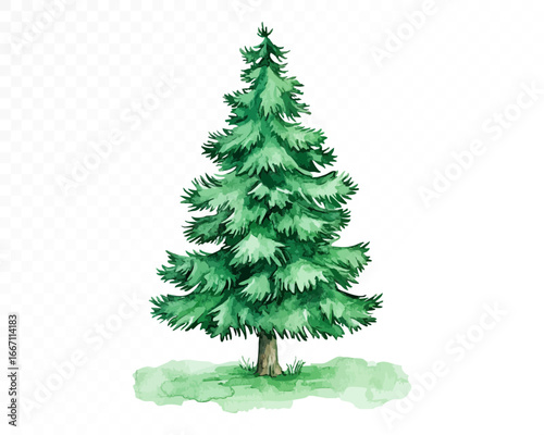 Watercolor illustration of a lush evergreen pine tree with layered green conifer branches, natural forest element, isolated on white. Vector illustration.	
