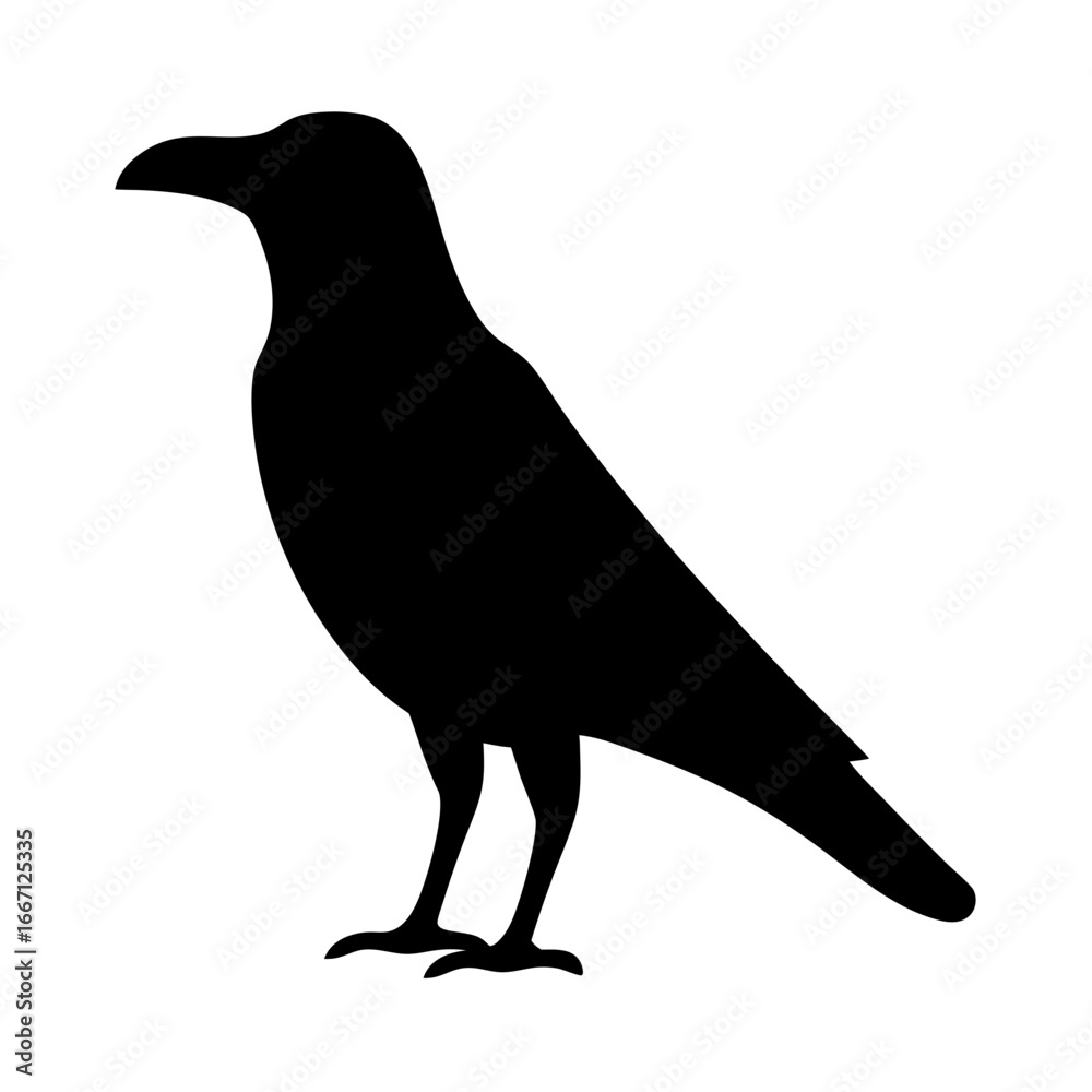 Obraz premium Silhouette of a black crow standing upright with its head in view
