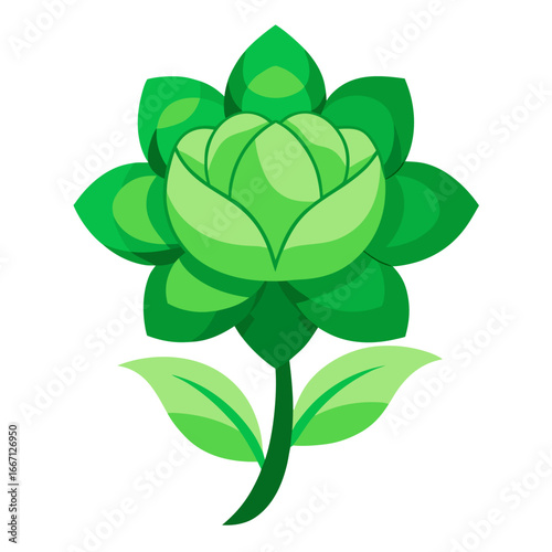 green rose flower