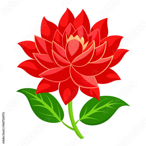 red and white flower