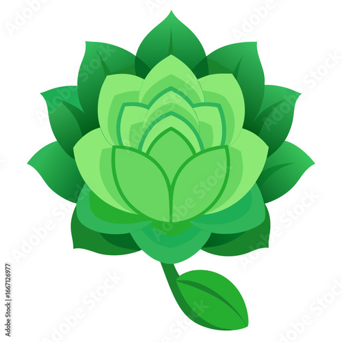 green leaf isolated