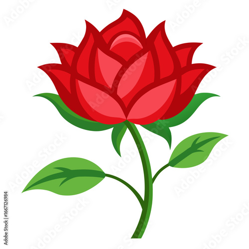 red rose vector illustration
