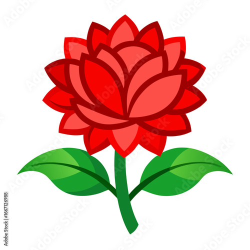 red rose isolated on white background