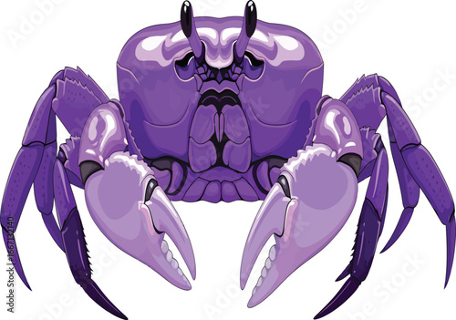Vector, illustration, rare purple crab,