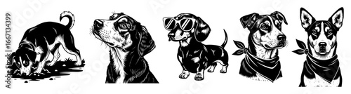 Dog Portraits Vector - Assorted Dog Head Silhouettes