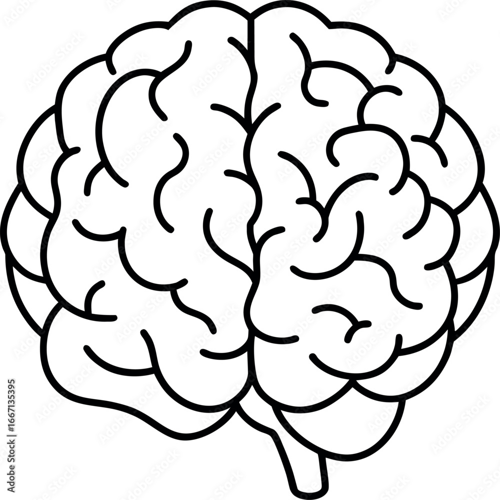 Fototapeta premium human brain vector illustration