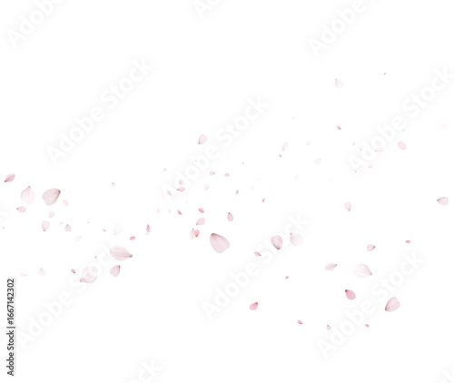 Gentle Sakura Petal Wave Vector Background For Spring Designs