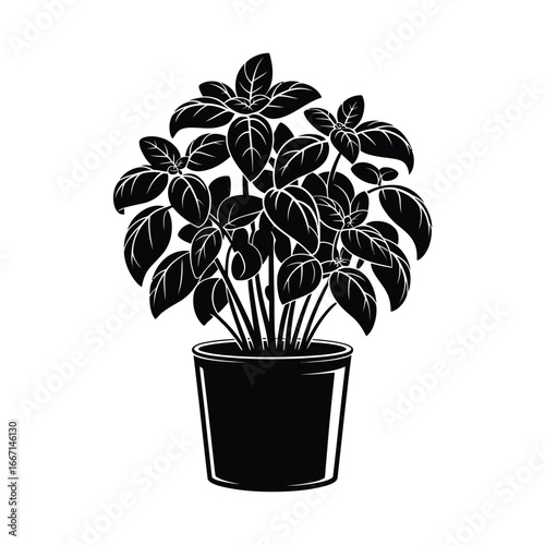 Black and white illustration of a potted basil plant