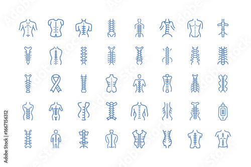 Vector art of collection of human spine and body anatomy icons