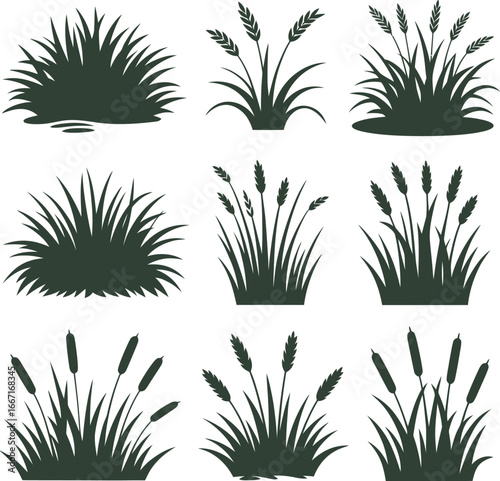 Grass and reed silhouettes set vector illustration isolated on white