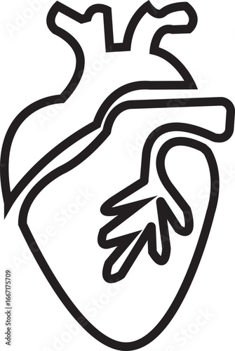 Anatomical Heart Icon,Human Heart,Cardiac Muscle Line and Silhouette Color Icon Set. Medical Cardiology Pictogram.Collection on White Background.Real human heart organ icon.medical icon