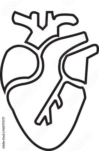 Anatomical Heart Icon,Human Heart,Cardiac Muscle Line and Silhouette Color Icon Set. Medical Cardiology Pictogram.Collection on White Background.Real human heart organ icon.medical icon