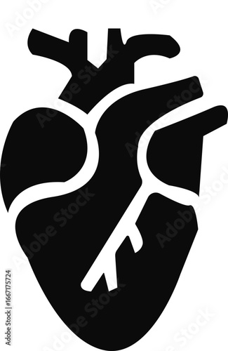 Anatomical Heart Icon,Human Heart,Cardiac Muscle Line and Silhouette Color Icon Set. Medical Cardiology Pictogram.Collection on White Background.Real human heart organ icon.medical icon