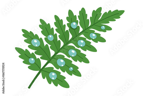 Lush Green Nature Photography: Dew-Kissed Fern Frond