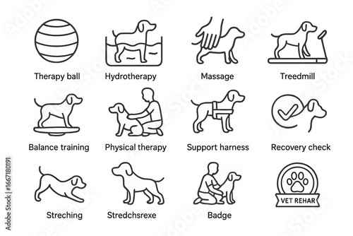 Icon harness physical session therapy pet treadmill hydrotherapy rehab hand vector stretching
