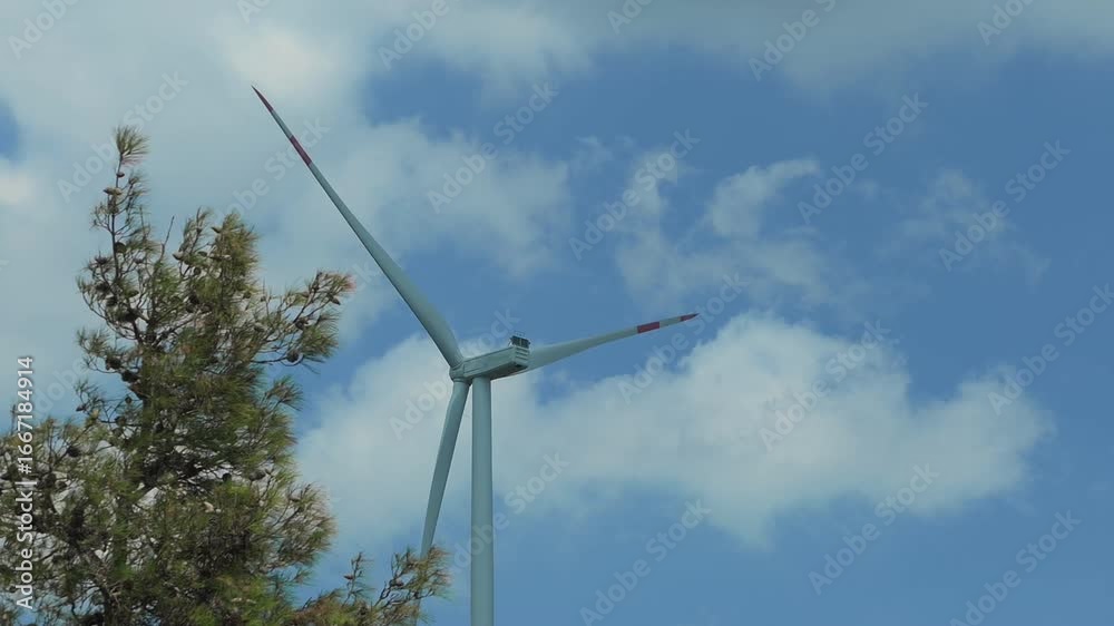 Wind power Decoys are seen through the trees Wind power Decoys are seen through the trees