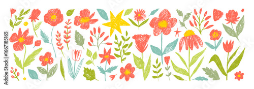 Crayon drawn cute flowers, berries, meadow plants and branches. Hand drawn childish funky plants.