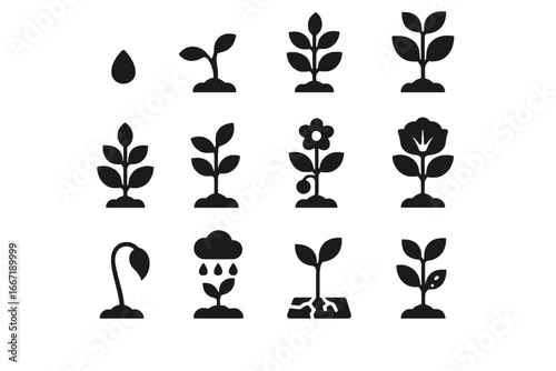 Seed growth medium small plant flowering vector full icon mature sprout ai