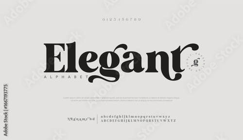 Elegant awesome alphabet letters font and number. unique serif font. Classic Lettering Minimal Fashion Designs. Typography fonts regular uppercase and lowercase. vector illustration