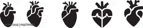 Anatomical Heart Icon set,Human Heart,Cardiac Muscle Line and Silhouette Color Icon Set. Medical Cardiology Pictogram.Collection on White Background.Real human heart organ icon.