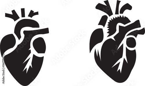 Anatomical Heart Icon set,Human Heart,Cardiac Muscle Line and Silhouette Color Icon Set. Medical Cardiology Pictogram.Collection on White Background.Real human heart organ icon.