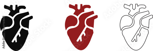 Anatomical Heart Icon set,Human Heart,Cardiac Muscle Line and Silhouette Color Icon Set. Medical Cardiology Pictogram.Collection on White Background.Real human heart organ icon.