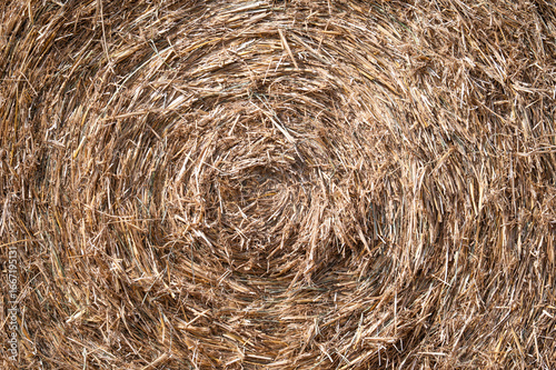 Golden hay bales at the Wallon countryside in Leglise, Luxembourg Province, Belgium
