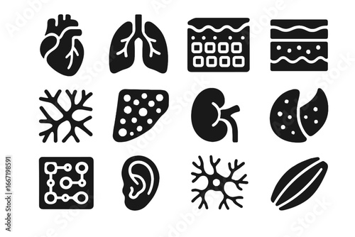 Tissue layer organs ear printed icons plate scaffold skin retina bioprinted icon