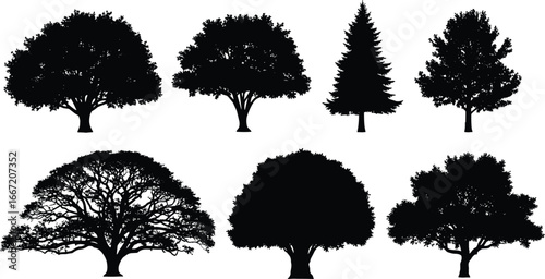 Tree silhouette set, diverse tree shapes, forest landscape, botanical variety, seasonal foliage, woodland design, black outlines, nature elements, plant illustration, environment art