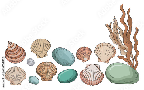 Seashells and Sea Stones Marine Life Underwater Illustration Colorful Coastal Decoration Tropical Beach Treasures Shell Collection Ocean Inspired Art
