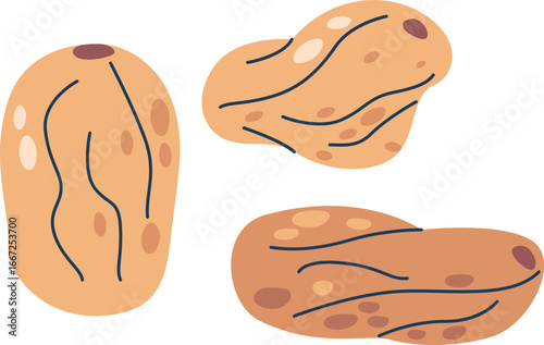 White grape raisins dried fruits
