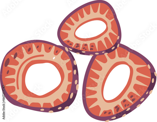 Strawberries dried fruits slices vector illustration