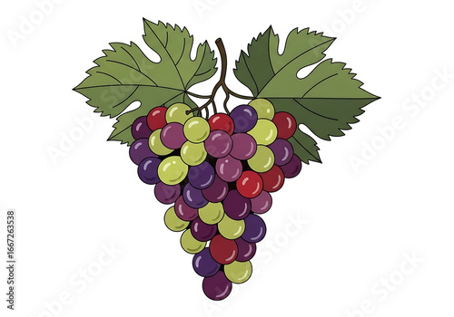 A vibrant bunch of colorful grapes hangs against a dark background, highlighted by detailed leaves.