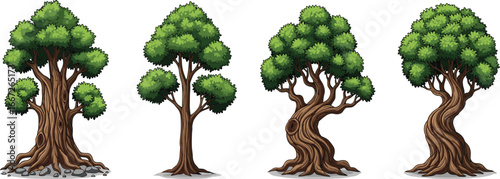 Cartoon trees, stylized trunks, twisted roots, flat vector illustration, foliage clusters, nature design, white background, artistic tree shapes