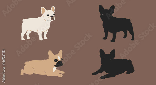Vector Set of French Bulldog Illustrations in White Fawn and Black Colors