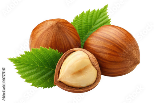 Fresh hazelnuts with green leaves isolated on transparent background