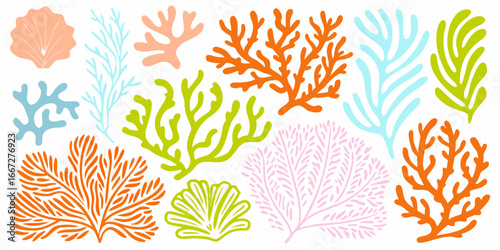 Assorted colorful stylized coral and seashell illustrations on white vector illustration