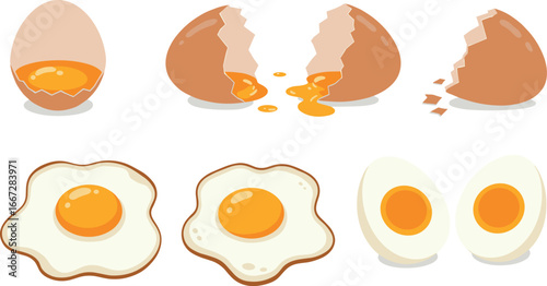 Illustrations of eggs in various forms: cracked, fried, and boiled on transparent background