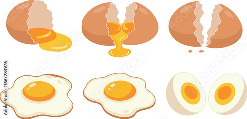 Illustrations of whole, cracked, fried, and boiled eggs on transparent background
