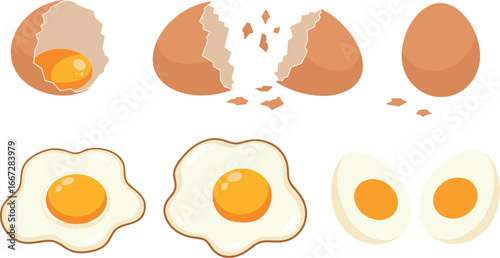 Cartoon illustration of whole, cracked, fried, and boiled eggs on transparent background