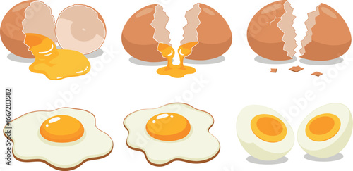 Illustrations of eggs in various states: cracked, fried, and boiled on transparent background