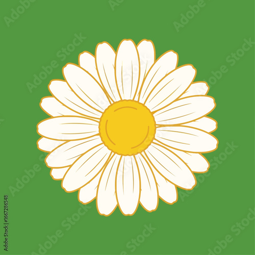 White Daisy Flower Illustration on Green Background