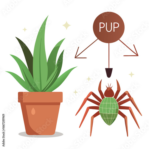 Illustration of a potted plant and a spider with a diagram indicating a pest problem