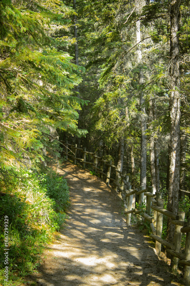Obraz premium Outdoor Path