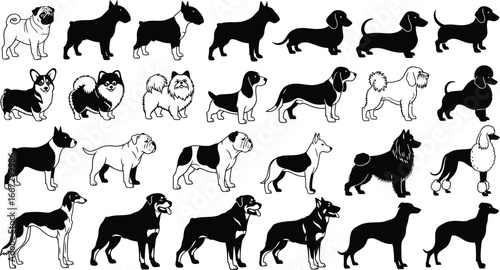 Collection of various dog breeds in silhouette illustration.