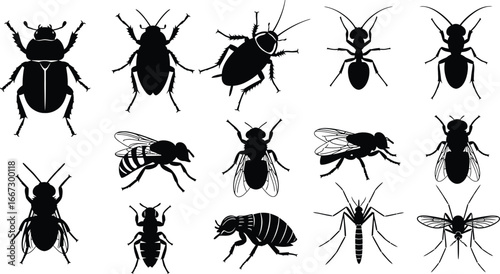 A collection of black silhouette illustrations of various common insects, including beetles, cockroaches, ants, bees, flies, and mosquitoes.