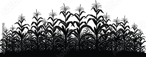 Vector art of silhouette of a cornfield with tall stalks and leaves