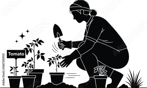 A person gardening, planting tomato seedlings in pots with a trowel, surrounded by healthy green plants and soil.