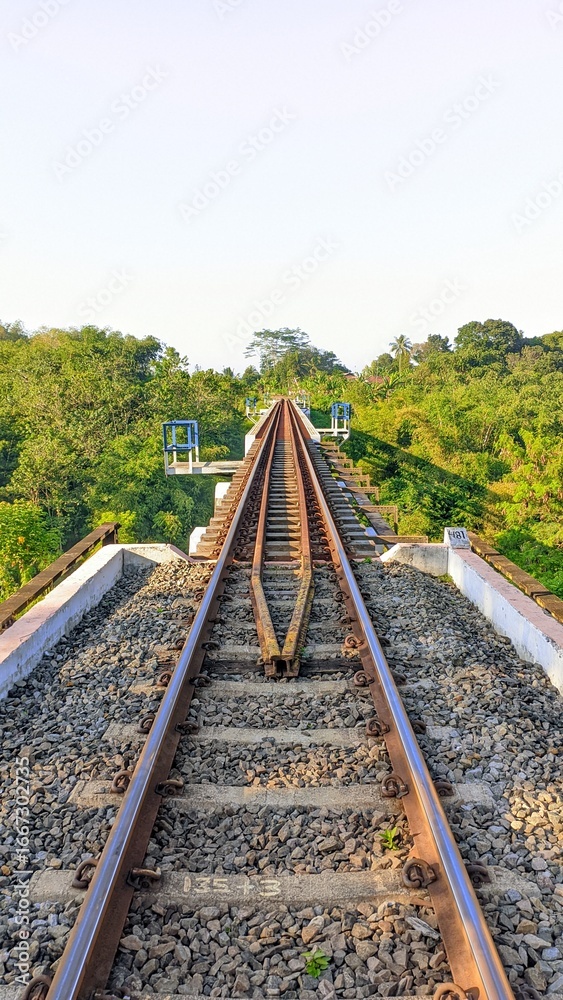 Fototapeta premium railway in the countryside